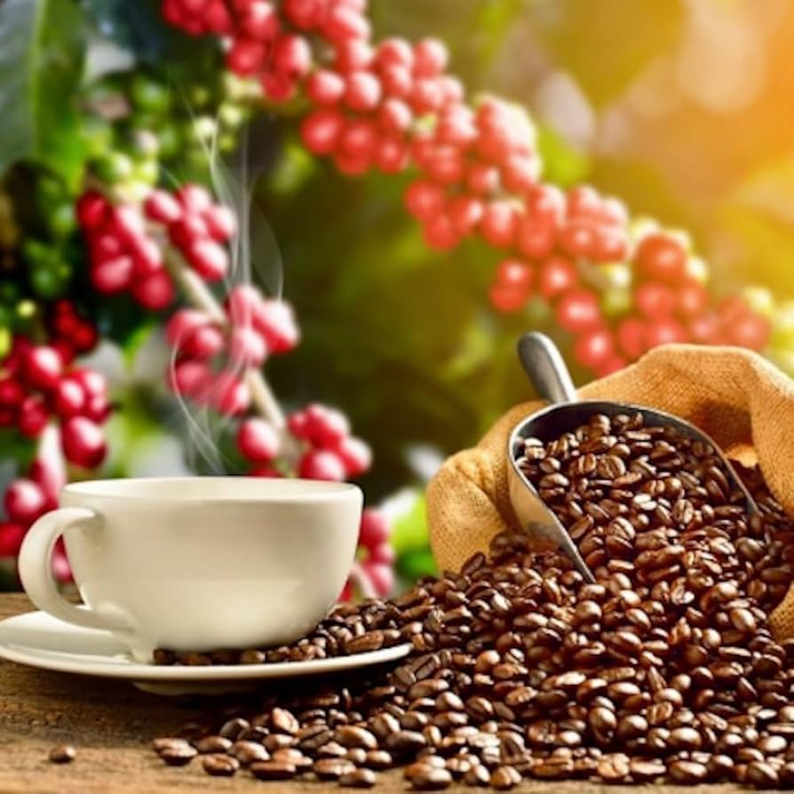 LION COFFEE - HAWAIIAN COFFEE - FRENCH ROAST - FREE USA SHIPPING!